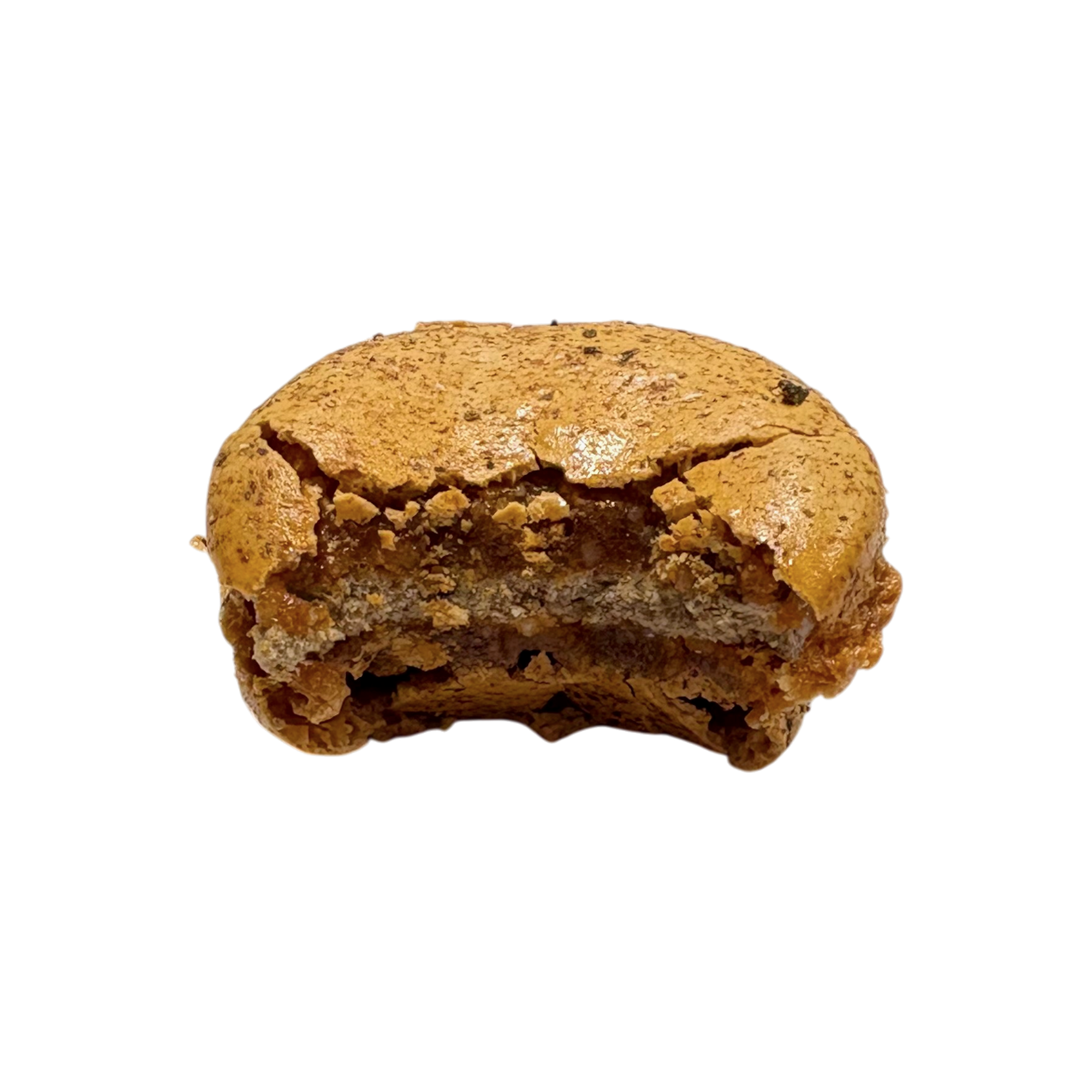 Cèpes