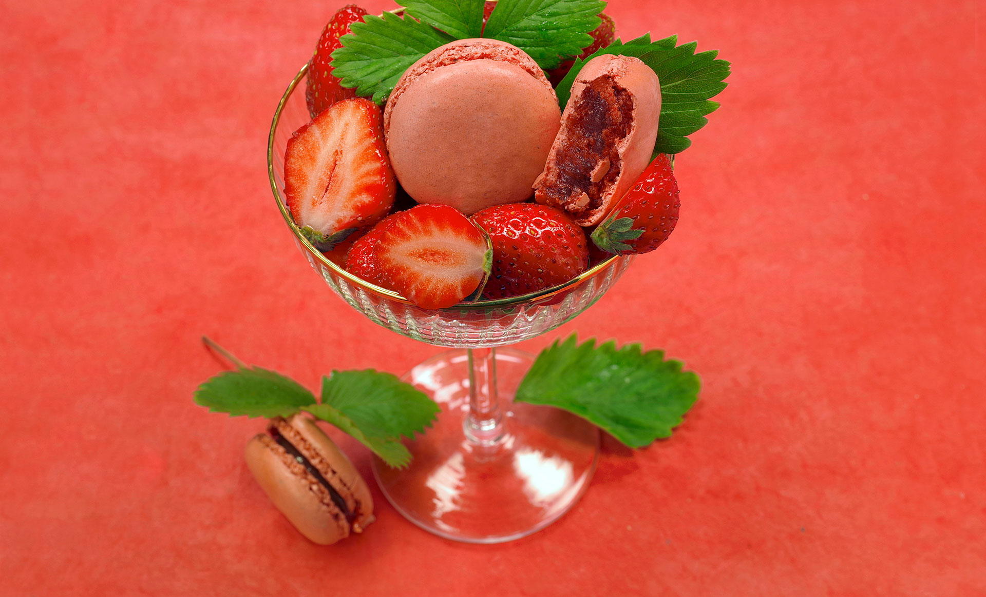 Lancement des macarons Ingrédients Français